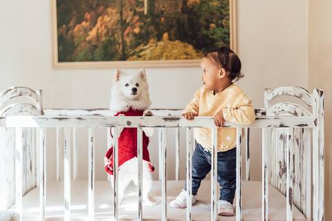 ENSAIO INFANTIL NO BERÇO COM LULU DA POMERANIA '