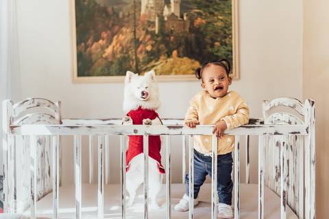 ENSAIO INFANTIL NO BERÇO COM LULU DA POMERANIA '