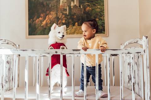 ENSAIO INFANTIL NO BERÇO COM LULU DA POMERANIA '