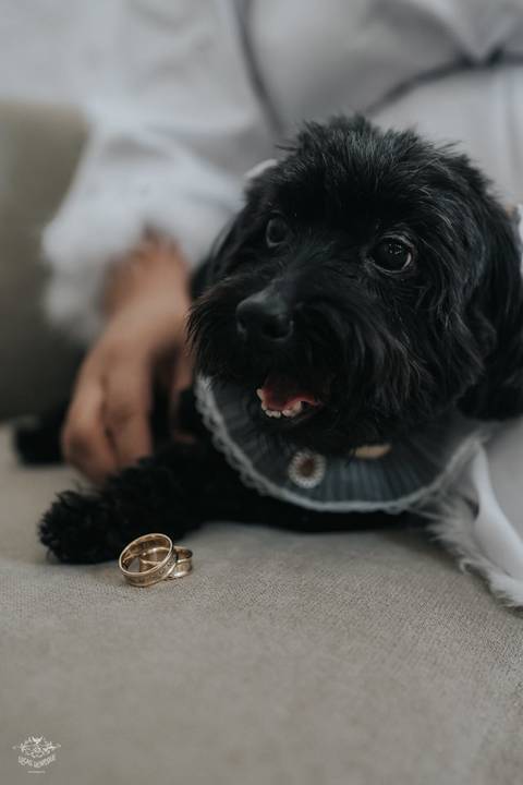 FOTOS MAKING OF NOIVA ISABELA SALGADO BEAUTY EXPERIENCE '