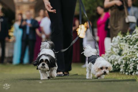 FOTOS CASAMENTO ESPAÇO HELEN AGUIAR PAMPULHA BELO HORIZONTE'
