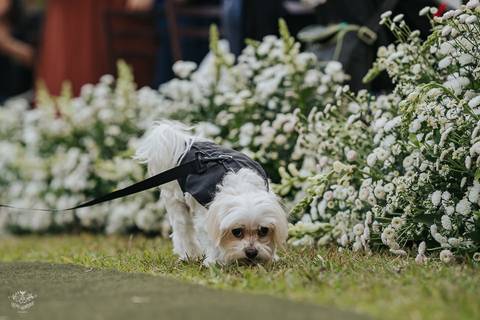 FOTOS CASAMENTO ESPAÇO HELEN AGUIAR PAMPULHA BELO HORIZONTE'