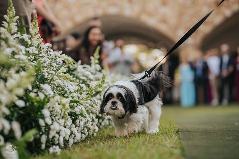 FOTOS CASAMENTO ESPAÇO HELEN AGUIAR PAMPULHA BELO HORIZONTE'