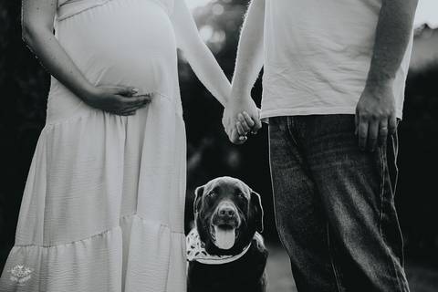 FOTOS ENSAIO GESTANTE EM CASA'