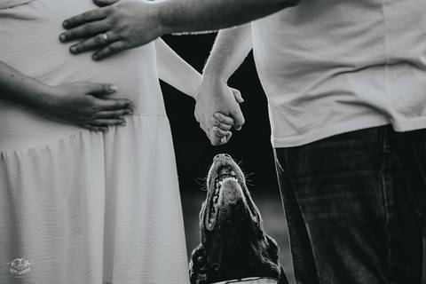 FOTOS ENSAIO GESTANTE EM CASA'