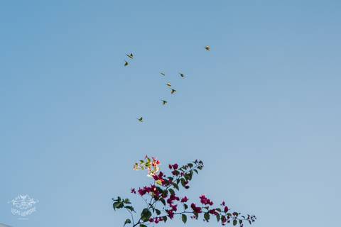 CASAMENTO MIDORI EVENTOS PAMPULHA BELO HORIZONTE'