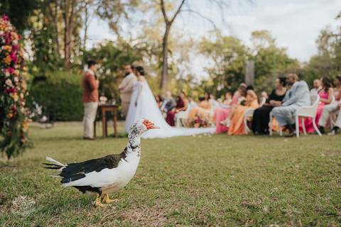 FOTOS CASAMENTO POR DO SOL ESPACO BODOCO BETIM'