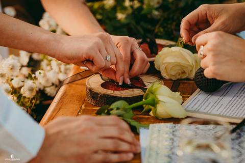 NOIVOS RECEBENDO ROSAS COM AS ALIANÇAS'