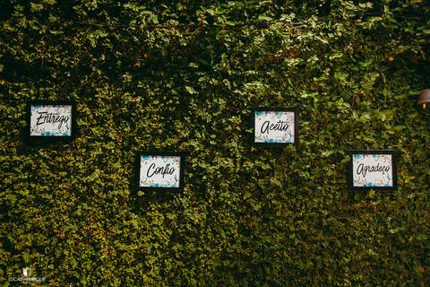 FOTOS DE PAQUINAS PARA CASAMENTOS'