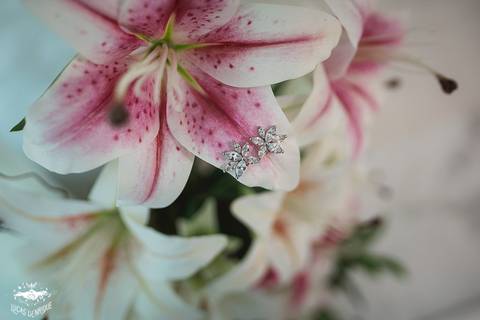 FOTOS DO BRINCO DA NOIVA NO MAKING OF'