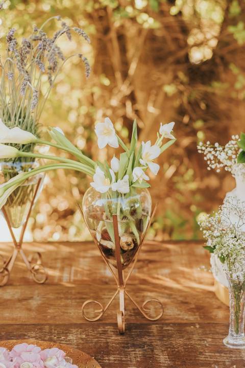 fotos cerimonia casamento sitio paraiso dos coqueiros de dia'