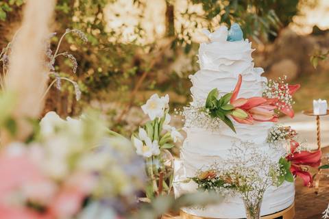fotos cerimonia casamento sitio paraiso dos coqueiros de dia'