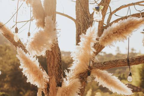 fotos cerimonia casamento sitio paraiso dos coqueiros de dia'