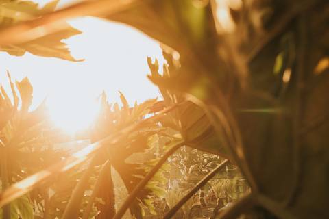 fotos sitio para casamento de dia'