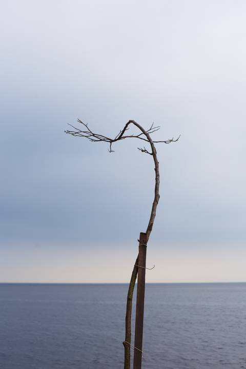 '