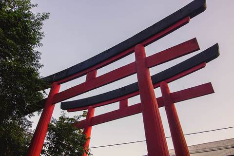Jardim Botânico Chico Mendes em Santos, na Baixada Santista, fotografia profissional pelo fotógrafo Fernando Freire, de Praia Grande e atendendo todo litoral sul de SP. Especializado em ensaios fotográfico e fotografia imobiliária.'