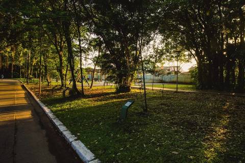 Jardim Botânico Chico Mendes em Santos, na Baixada Santista, fotografia profissional pelo fotógrafo Fernando Freire, de Praia Grande e atendendo todo litoral sul de SP. Especializado em ensaios fotográfico e fotografia imobiliária.'