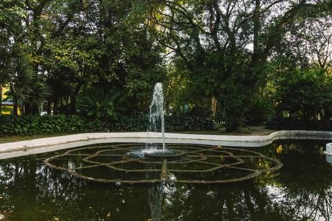 Jardim Botânico Chico Mendes em Santos, na Baixada Santista, fotografia profissional pelo fotógrafo Fernando Freire, de Praia Grande e atendendo todo litoral sul de SP. Especializado em ensaios fotográfico e fotografia imobiliária.'