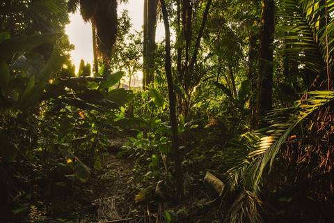 Jardim Botânico Chico Mendes em Santos, na Baixada Santista, fotografia profissional pelo fotógrafo Fernando Freire, de Praia Grande e atendendo todo litoral sul de SP. Especializado em ensaios fotográfico e fotografia imobiliária.'