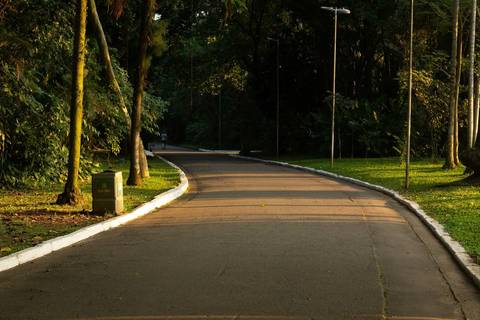 Jardim Botânico Chico Mendes em Santos, na Baixada Santista, fotografia profissional pelo fotógrafo Fernando Freire, de Praia Grande e atendendo todo litoral sul de SP. Especializado em ensaios fotográfico e fotografia imobiliária.'