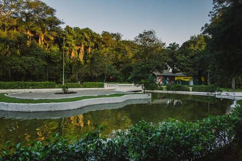 Jardim Botânico Chico Mendes em Santos, na Baixada Santista, fotografia profissional pelo fotógrafo Fernando Freire, de Praia Grande e atendendo todo litoral sul de SP. Especializado em ensaios fotográfico e fotografia imobiliária.'