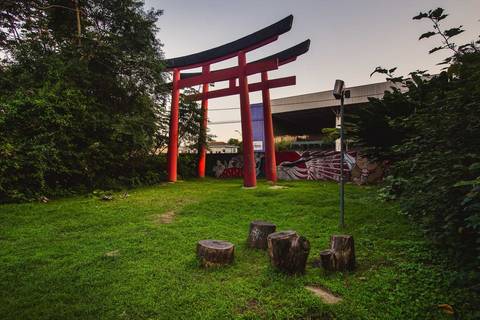 Jardim Botânico Chico Mendes em Santos, na Baixada Santista, fotografia profissional pelo fotógrafo Fernando Freire, de Praia Grande e atendendo todo litoral sul de SP. Especializado em ensaios fotográfico e fotografia imobiliária.'