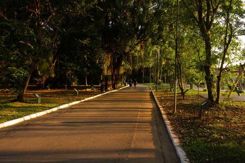 Jardim Botânico Chico Mendes em Santos, na Baixada Santista, fotografia profissional pelo fotógrafo Fernando Freire, de Praia Grande e atendendo todo litoral sul de SP. Especializado em ensaios fotográfico e fotografia imobiliária.'
