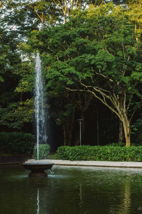 Jardim Botânico Chico Mendes em Santos, na Baixada Santista, fotografia profissional pelo fotógrafo Fernando Freire, de Praia Grande e atendendo todo litoral sul de SP. Especializado em ensaios fotográfico e fotografia imobiliária.'