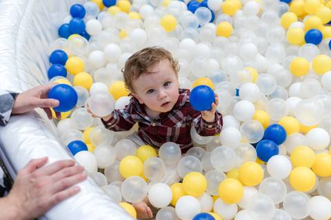 Cobertura de festa infantil com registros naturais'