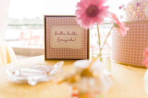 Detalhes da decoração da festa infantil em BH'