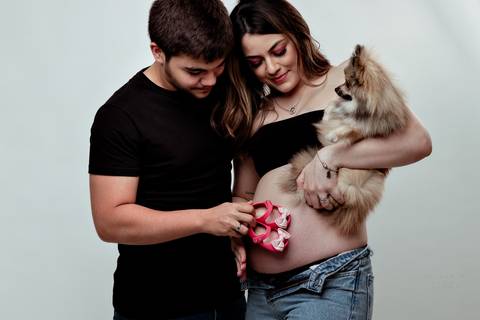 ensaio gestante com pet '