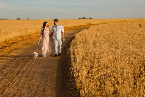 Ensaio de casal com o cachorro no região de São Gotardo. Ensaio no trigo do casal Bruna e Sandro realizado pelo fotógrafo profissional Lucas Sato.'