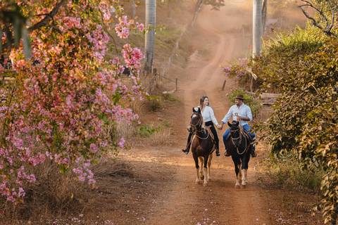 Ensaio de casal com cavalos realizado na fazenda em Carmo do Paranaíba MG.'