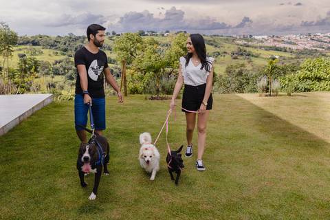 Ensaio de casal com cachorros no Sítio dos Sonhos em São Gotardo.'