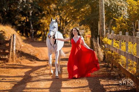 Book com cavalo realizado no município de São Gotardo. Vestido para ensaios femininos'