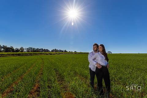 Fotos de ensaio no trigo na cidade de São Gotardo-MG. Pré wedding no trigo. #casalnotrigo #ensaionotrigo #ensaionatureza'