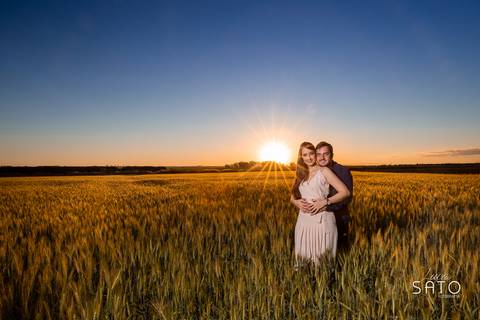Fotos de ensaio no trigo na cidade de São Gotardo-MG. Pré wedding no trigo. #casalnotrigo #ensaionotrigo #ensaionatureza #pordosol'