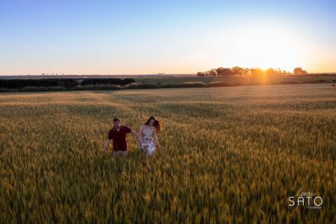 Fotos de ensaio no trigo na cidade de São Gotardo-MG. Pré wedding no trigo. #casalnotrigo #ensaionotrigo #ensaionatureza #correndonotrigo #casalapaixonado'