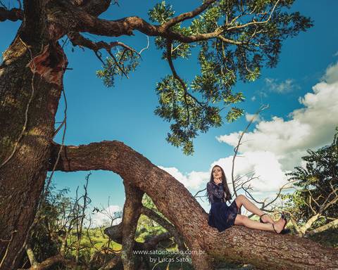 Ensaio na cidade de sao gotardo-mg, foto na arvore, book na natureza, 15 anos, tumblr'