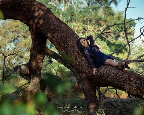 Ensaio na cidade de sao gotardo-mg, foto na arvore, book na natureza, 15 anos, tumblr'