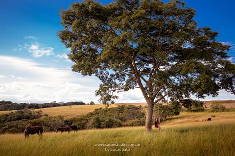 A fotografia de 15 anos realizado na cidade de São Gotardo-MG. Ensaio externo, Ensaio 15 anos. Ensaio no milharal
#15anos #fotofeminina #fotografiadebook #agro #aspoderosas #fotografiade15anos #ensaio15anos #agro #15agro #vestidoparaensaio'