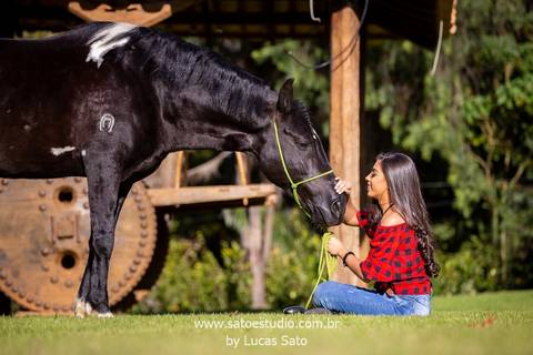 Fotografia de 15 anos com cavalo realizado na fazenda na região de São Gotardo-MG. #15anos #book #meninaelivro #ensaio15anos #saogotardo #ensaiocomcavalo'