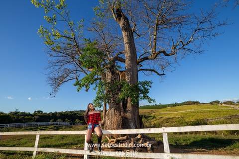 Fotografia de 15 anos com cavalo realizado na fazenda na região de São Gotardo-MG. #15anos #book #meninaelivro #ensaio15anos #saogotardo #ensaiocomcavalo'