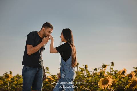 Fotografia de ensaio pré wedding no girassol localizado na região de de Rio Paranaíba-MG. Ensaio no fim de tarde com pôr do sol'
