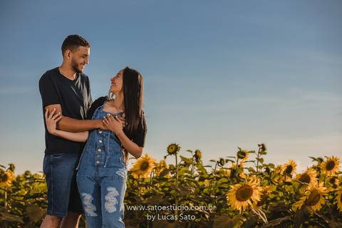 Fotografia de ensaio pré wedding no girassol localizado na região de de Rio Paranaíba-MG. Ensaio no fim de tarde com pôr do sol'