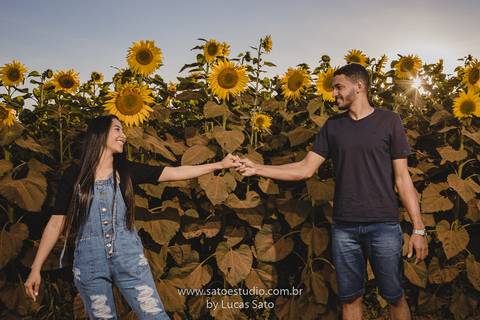 Fotografia de ensaio pré wedding no girassol localizado na região de de Rio Paranaíba-MG. Ensaio no fim de tarde com pôr do sol'