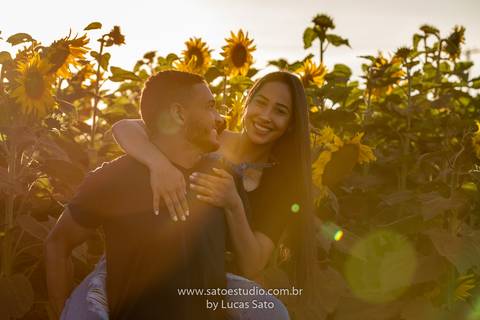 Fotografia de ensaio pré wedding no girassol localizado na região de de Rio Paranaíba-MG. Ensaio no fim de tarde com pôr do sol'