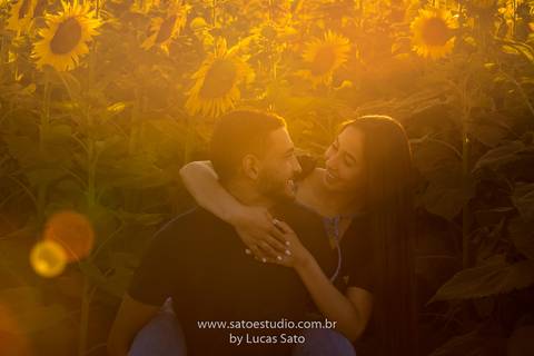Fotografia de ensaio pré wedding no girassol localizado na região de de Rio Paranaíba-MG. Ensaio no fim de tarde com pôr do sol. Poses para ensaio de casal ou namorando.'