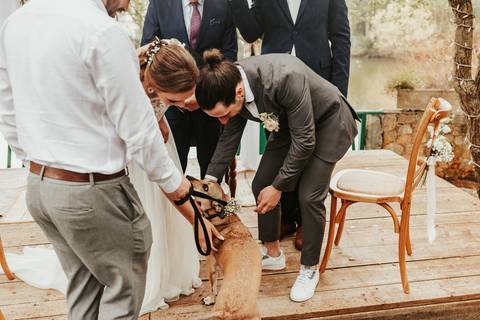 casamento Joana e Afonso - Quinta Júlia dos Ovos, Juncal'