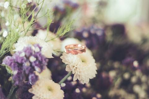 Casamento Bruno & João - Leiria'